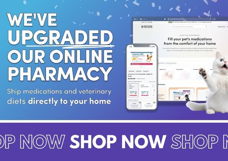 Carousel Slide 4: Rockland online veterinary pharmacy