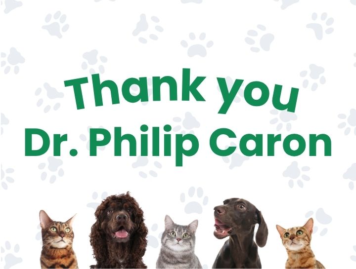 An Update About Our Veterinary Team